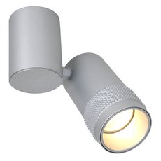Точечный светильник с плафонами серебряного цвета Favourite 2454-1U