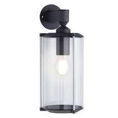 Светильник для уличного освещения с арматурой серого цвета, плафонами прозрачного цвета Paulmann 94282