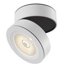 Точечный светильник с арматурой белого цвета, металлическими плафонами Maytoni C023CL-L20W