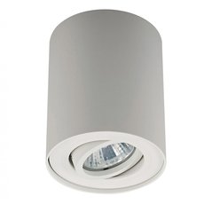 Точечный светильник с арматурой белого цвета, металлическими плафонами ZUMALINE 20038-WH