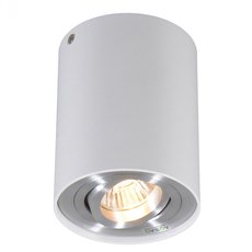 Точечный светильник с арматурой серебряного цвета, плафонами серебряного цвета ZUMALINE 45519