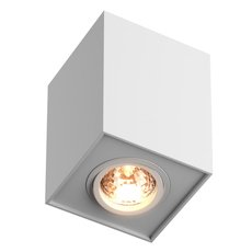 Точечный светильник с арматурой белого цвета, металлическими плафонами ZUMALINE 89200-WH