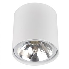 Точечный светильник с арматурой белого цвета, металлическими плафонами ZUMALINE 50631