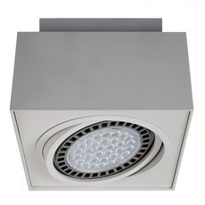 Точечный светильник с арматурой белого цвета, плафонами белого цвета ZUMALINE 20074-WH