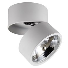 Точечный светильник с арматурой белого цвета, металлическими плафонами ZUMALINE 20001-WH