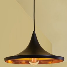 Светильник с арматурой чёрного цвета, плафонами чёрного цвета Citilux CL450210