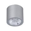 Точечный светильник Favourite(Deorsum) 2808-1C