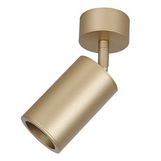 Точечный светильник с арматурой золотого цвета, металлическими плафонами Favourite 2802-1U