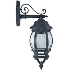 Светильник для уличного освещения с стеклянными плафонами прозрачного цвета Favourite 1807-1W