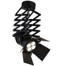 Светильник с арматурой чёрного цвета, плафонами чёрного цвета Favourite 2070-1U