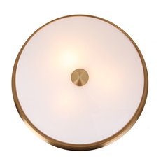 Светильник с плафонами белого цвета Favourite 2375-3C