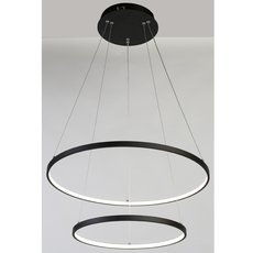 Светильник с арматурой чёрного цвета, плафонами белого цвета Favourite 1764-10P