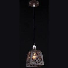 Светильник с арматурой коричневого цвета, пластиковыми плафонами Maytoni ARM610-00-R