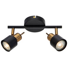 Спот с арматурой чёрного цвета, металлическими плафонами Arte Lamp A1906PL-2BK