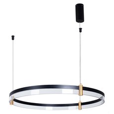 Светильник с арматурой чёрного цвета, плафонами прозрачного цвета Arte Lamp A2184SP-1BK