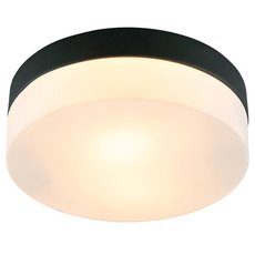 Светильник для ванной комнаты с стеклянными плафонами белого цвета Arte Lamp A6047PL-2BK