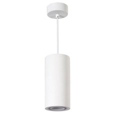 Светильник с плафонами белого цвета DENKIRS DK5008-GY