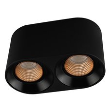 Точечный светильник с арматурой чёрного цвета, пластиковыми плафонами DENKIRS DK3096-BK+BR