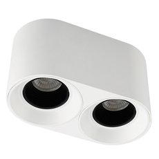Точечный светильник с плафонами белого цвета DENKIRS DK3096-WH+BK