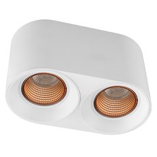Точечный светильник с арматурой белого цвета, пластиковыми плафонами DENKIRS DK3096-WH+BR