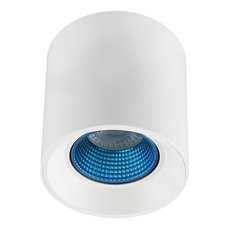 Точечный светильник с арматурой белого цвета, пластиковыми плафонами DENKIRS DK3090-WH+CY