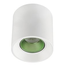 Точечный светильник с арматурой белого цвета, пластиковыми плафонами DENKIRS DK3090-WH+GR