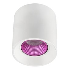 Точечный светильник с арматурой белого цвета DENKIRS DK3090-WH+PI