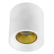 Точечный светильник с пластиковыми плафонами DENKIRS DK3090-WH+YE