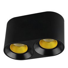 Точечный светильник с арматурой чёрного цвета, пластиковыми плафонами DENKIRS DK3096-BK+YE