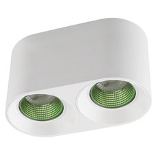 Точечный светильник с арматурой белого цвета, пластиковыми плафонами DENKIRS DK3096-WH+GR