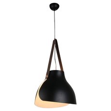 Светильник с арматурой чёрного цвета Lussole LSP-9842