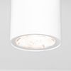 Точечный светильник Elektrostandard(Light) Light LED 2102 (35129/H) белый