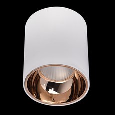 Точечный светильник с металлическими плафонами Citilux CL7440103