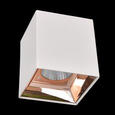 Точечный светильник с арматурой белого цвета, металлическими плафонами Citilux CL7440203
