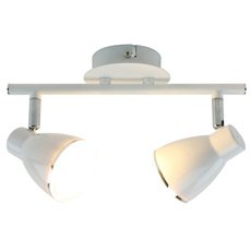 Спот с арматурой белого цвета, металлическими плафонами Arte Lamp A6008PL-2WH