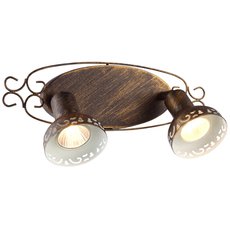 Спот с арматурой коричневого цвета, металлическими плафонами Arte Lamp A5219AP-2BR