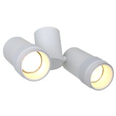 Точечный светильник с арматурой белого цвета, металлическими плафонами Favourite 2453-2U
