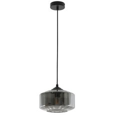 Светильник с арматурой чёрного цвета, стеклянными плафонами Favourite 2720-1P