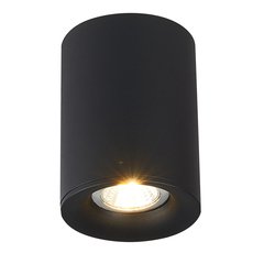 Точечный светильник с металлическими плафонами чёрного цвета Simple Story 2036-1CLB