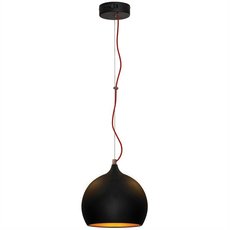 Светильник с арматурой чёрного цвета, плафонами чёрного цвета Lussole LSN-6116-01