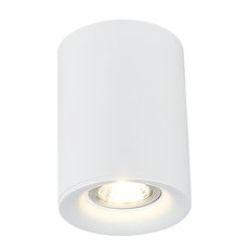 Точечный светильник с арматурой белого цвета, плафонами белого цвета Simple Story 2036-1CLW