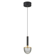 Светильник с арматурой чёрного цвета, стеклянными плафонами Simple Story 1172-LED5PL