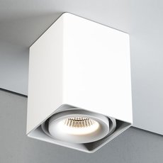 Точечный светильник с плафонами белого цвета Quest Light CASTLE 1 ED white