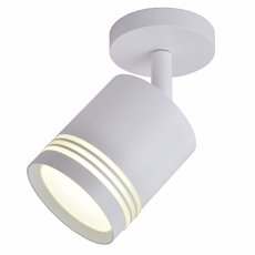 Точечный светильник с металлическими плафонами Favourite 3065-1U