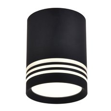 Точечный светильник с арматурой чёрного цвета, металлическими плафонами Favourite 3066-1C