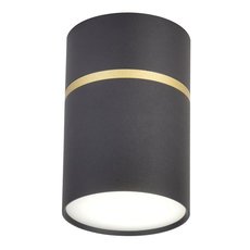 Точечный светильник с металлическими плафонами чёрного цвета Favourite 3068-1C