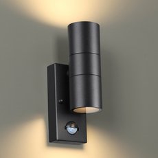 Светильник для уличного освещения с арматурой чёрного цвета, металлическими плафонами Odeon Light 4389/2W