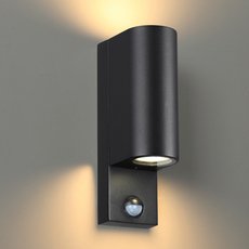 Светильник для уличного освещения с арматурой чёрного цвета, плафонами чёрного цвета Odeon Light 4390/2W