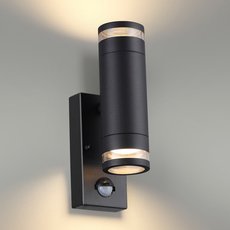 Светильник для уличного освещения с арматурой чёрного цвета, плафонами чёрного цвета Odeon Light 6605/2W