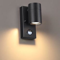 Светильник для уличного освещения с металлическими плафонами чёрного цвета Odeon Light 4389/1W
